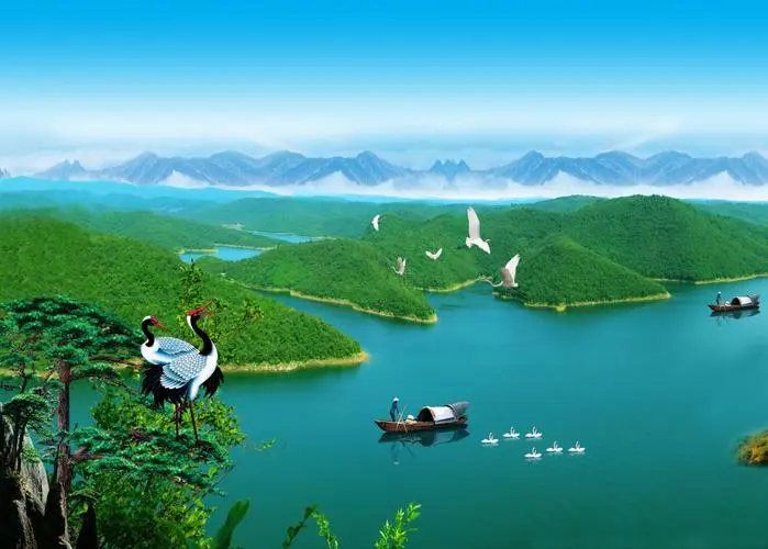 高端全自动